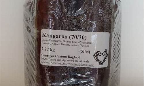 Kangaroo_kangaroo是什么动物